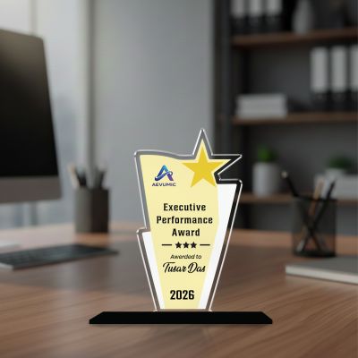 Executive Performance Award Personalized Acrylic Award Trophy Custom with Name  Achievement Award for Employee, Corporate Recognition Thankyou Gift for Employee